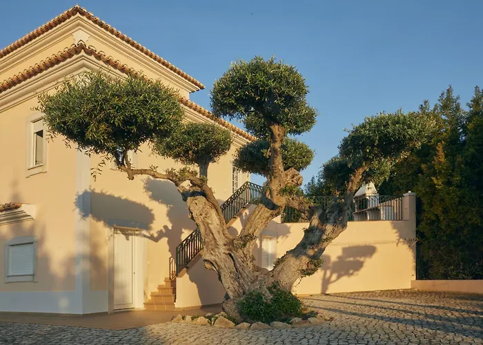 Villa Monte Das Oliveiras With Private Pool